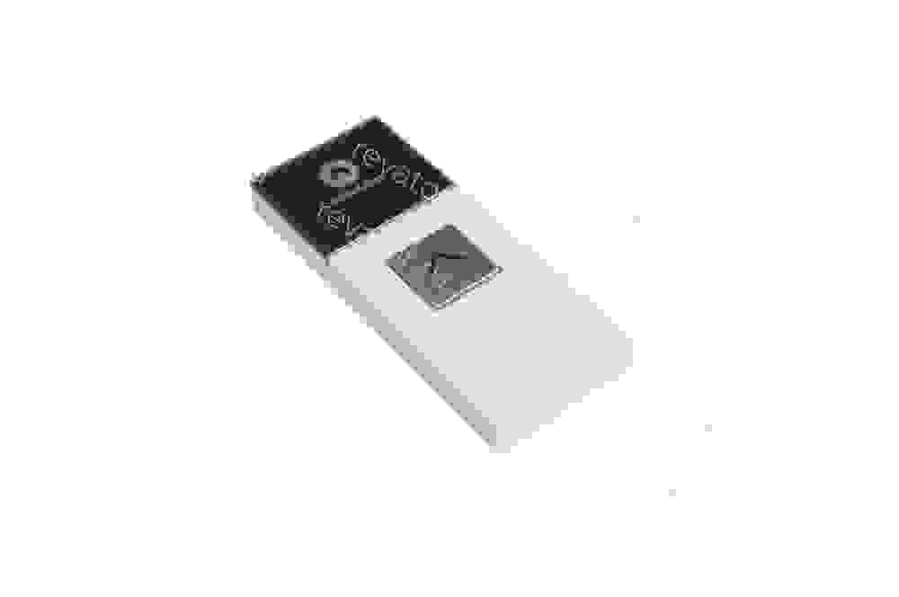Пост вызывной стрелка вверх GS300PG-1BSF Schindler