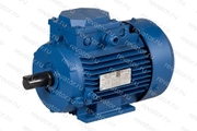 Электродвигатель 1,1кВт 925об/мин АИР80В6-У2-220/380-50IM1081-Р.К.В.К31Е-ААА МЭЗ