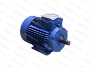 Электродвигатель 0,37кВт 670об/мин АИР80А8-У2-220/380-50IM1081-Р.К.В.К31Е-ААА МЭЗ
