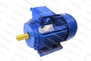 Электродвигатель 4,0кВт 3000об/мин АИР100S2