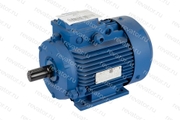 Электродвигатель 2,2кВт 1420об/мин АИР90L4-У2-220/380-50IM1081-Р.К.В.К31Е-ААА МЭЗ