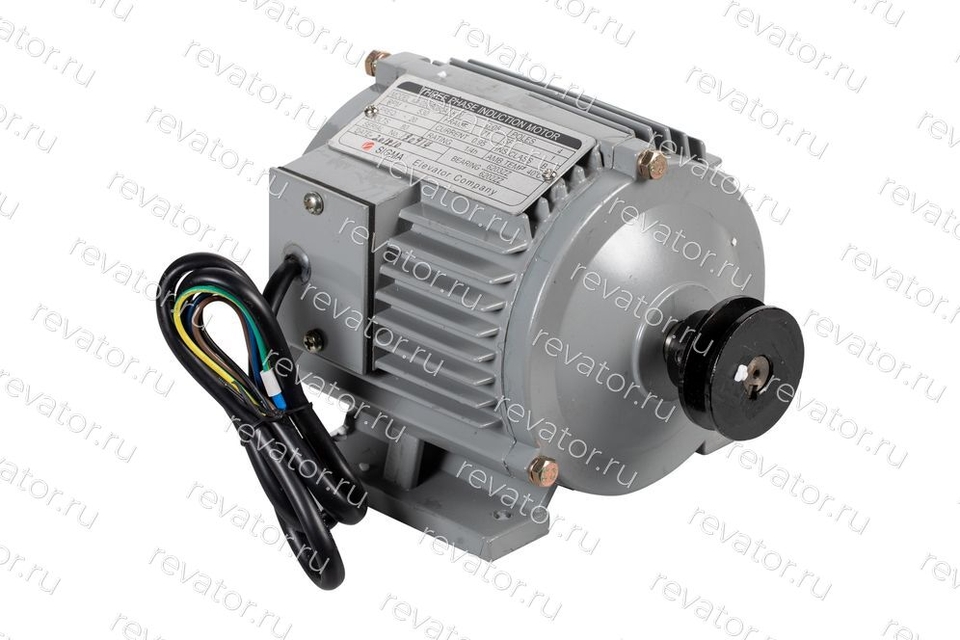 Электродвигатель привода дверей 0,05кВт 530об/мин IM-050B080A Sigma