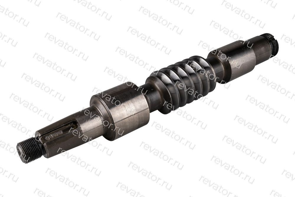 Червяк 125х38 0463Б.02.11.002 МЛЗ