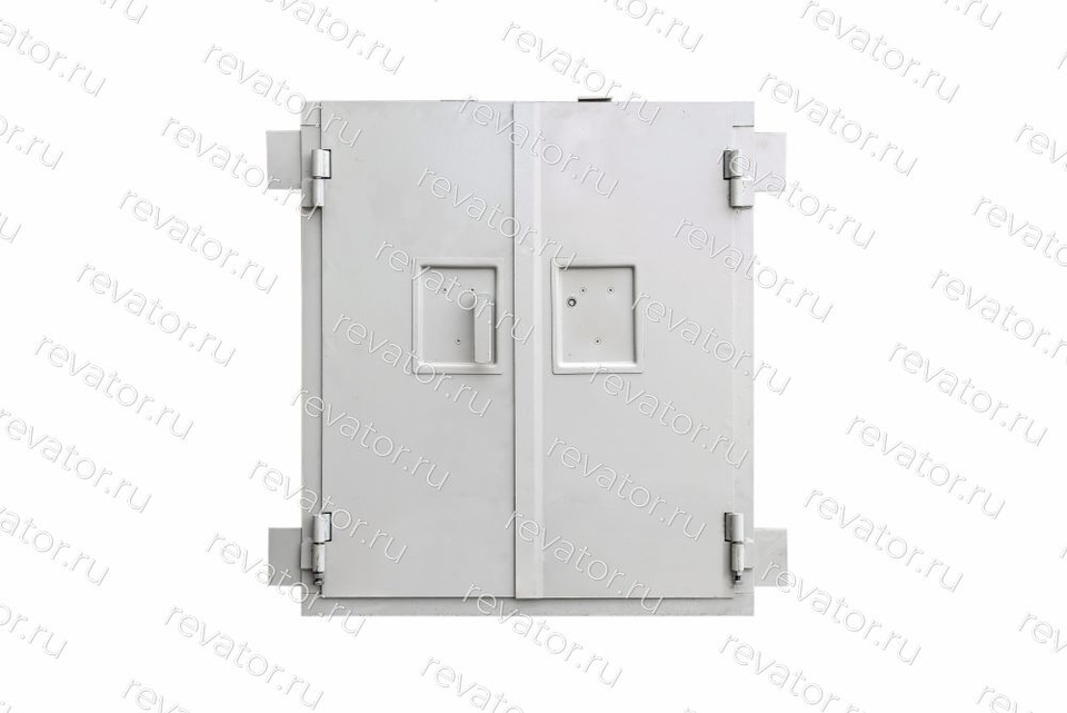 Дверь шахты малого грузового лифта ПГ-239 900х880мм МЛЗ