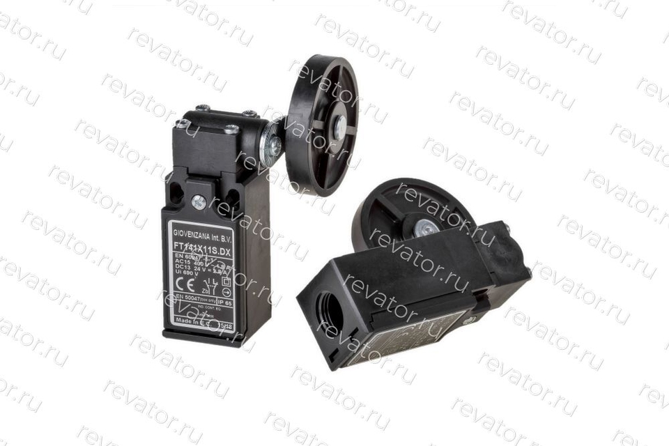 Выключатель концевой FT141X11S.DX Giovenzana