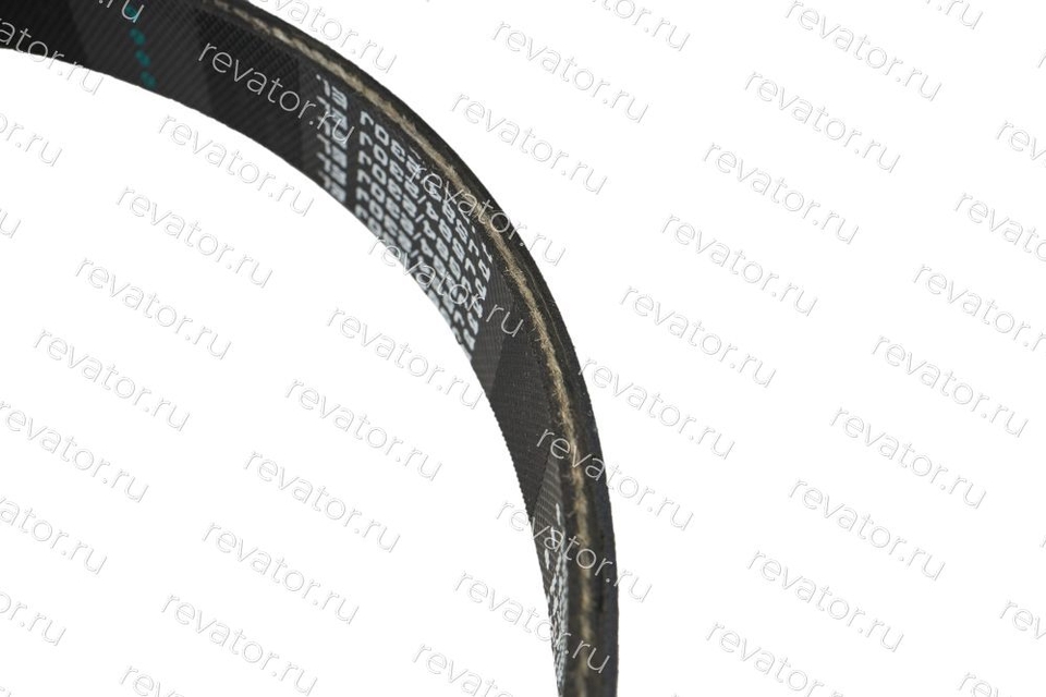 Ремень поликлиновой 8PJ584 Contitech