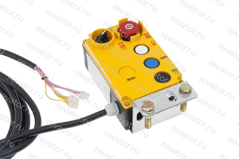 Пульт ревизии AEG13C454 Sigma